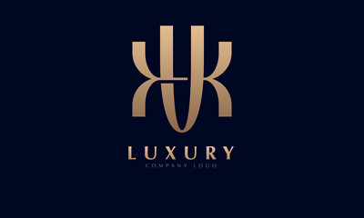 Fototapeta na wymiar Alphabet VX or XA luxury initial letters brand monogram logo template