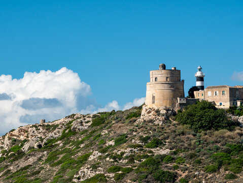 White lighthouse tower nearby evergreen tree along the mountain