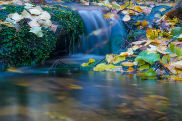 waterfall in autumn forest