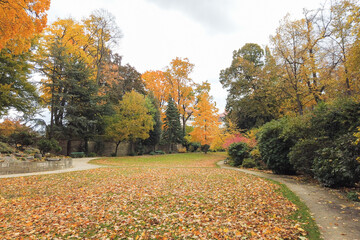 Autumn leaves and trees in the park
