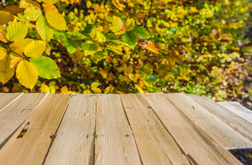 Naklejka na ściany i meble Tabletop with empty set for design an to visualise your advertising publicity..Background with natural forest in autumnal nature. .