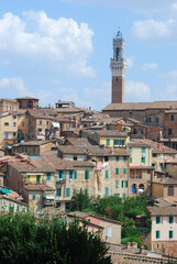 View over the rooftops of Siena to the town hall tower. Italy, Europe - obrazy, fototapety, plakaty