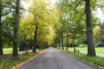 Fototapeta na wymiar Lichtentaler Avenue in Baden-Baden, autumn mood. Germany, Europe