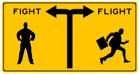fight flight