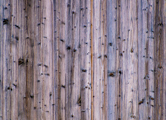 surface of gray-brown wooden fence panels vertically oriented