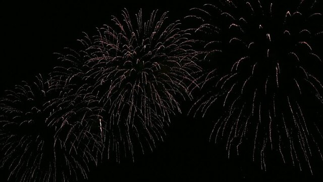 Colorful fireworks exploding with shining in annual festival
