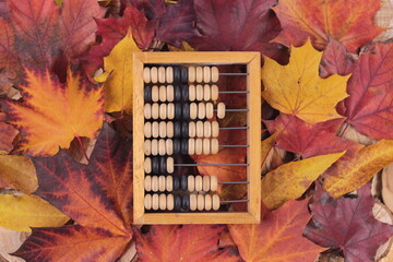 Old wooden kids abacus on bright falling leaves background.Back to school greeting card concept.