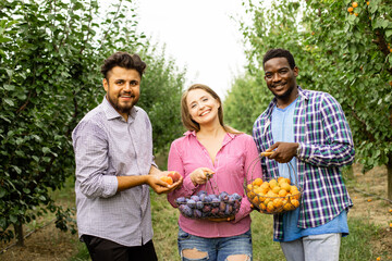 Co-workers at the fruit farm after picking harvest