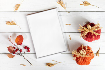 Halloween, thanksgiving mock up. Frame, textile pumpkins, Apple tree twig on white wooden backdrop.