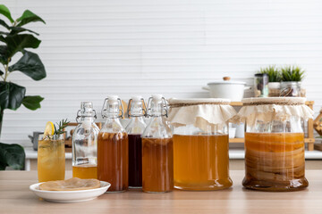 Kombucha tea, Kombucha fermented drink, bacteria and yeast,  fermentation, probiotic, Scoby,...