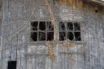Old barn with broken windows and broken panes