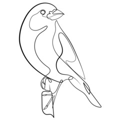 Bird on a perch one line drawing  in vector illustration. Bird concept logo in line art. Continuous one line drawing of bird silhouette isolated on white background.