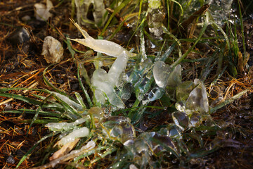 Icicles in the sunshine after a frosty night