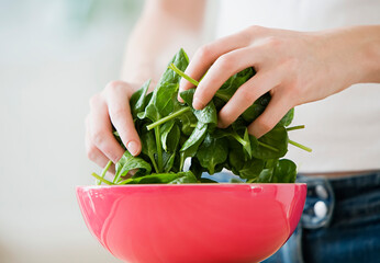 Person Preparing Spinach (Spinacia Oleracea), Selective Focus - obrazy, fototapety, plakaty