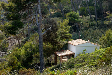 Fototapeta na wymiar white country house in a forest on the costa brava near the coast