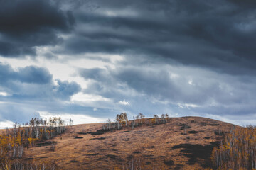 Autumn trees on the hill