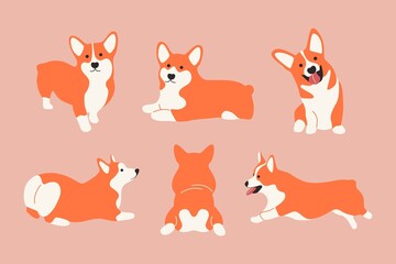 Funny cartoon corgi dogs. Set og cute welsh corgies, lying running smiling puppy. Vector isolated illustration