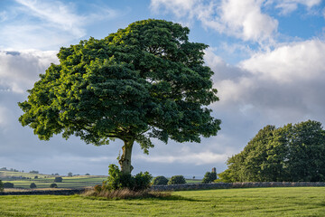 Magpie Mine. Abandoned, ruined lead mine in the Peak District National Park.