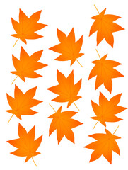 Hello autumn, autumn leaves flat, colored leaves isolated set autumn elements autumn holidays yellow leaves