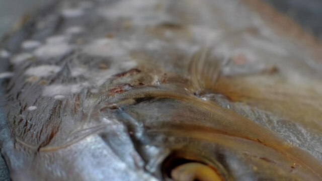 Spoiled Vomer smoked fish. Dry food mold. Dried fish moldy. Macro footage. Dolly shot.