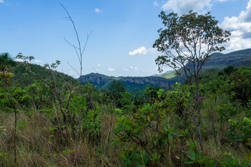 Cerrado Brasileiro na primavera