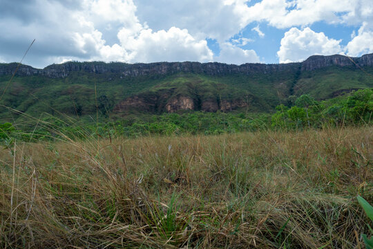 「Pedreira」の画像 996 件の Stock 写真、ベクターおよびビデオ Adobe Stock