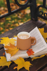 A cup of coffee on a book with yellow leaves