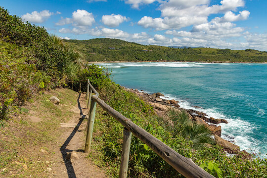 Trail to the beach with rocks and vegetation