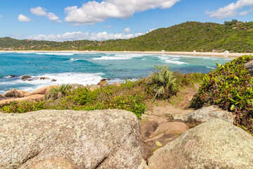 Fototapeta na wymiar Trail to the beach with rocks and vegetation