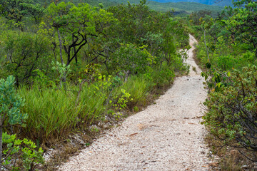 Caminho de terra atravessando o cerrado brasileiro