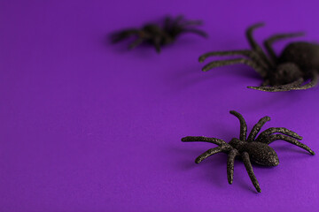 Three black horror spiders of different sizes directions on vibrant purple backdrop with copy space. Halloween decoration spooky background concept for holidays