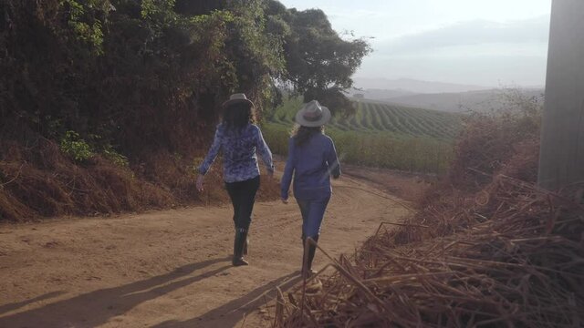 two women with curly hair, hats and high boots walking along a dirt road towards a coffee plantation, nice day, lens flare