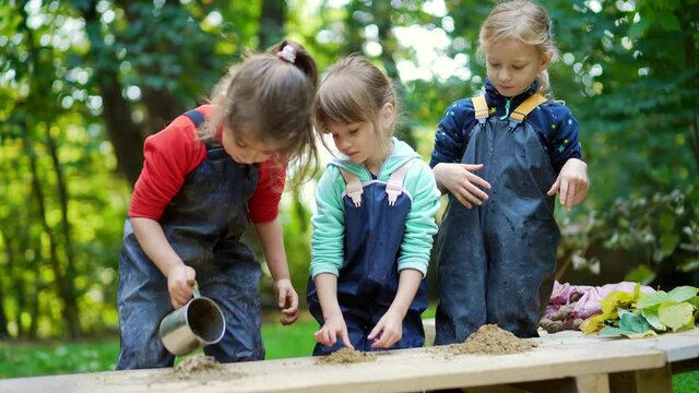 forest kindergarten. Happy Preschool or school group children play sculpt clay in swamp in park or forest. Outdoors small child have fun playing with mud. Summer Camp curious, kid leisure in nature