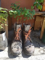 old boots on the wall