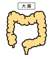 シンプル　イラスト　大腸