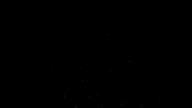 flying rusk infron of black background