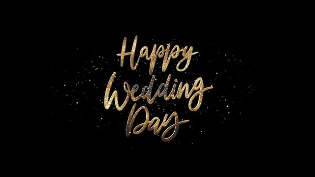 Happy Wedding Day Alpha Channel