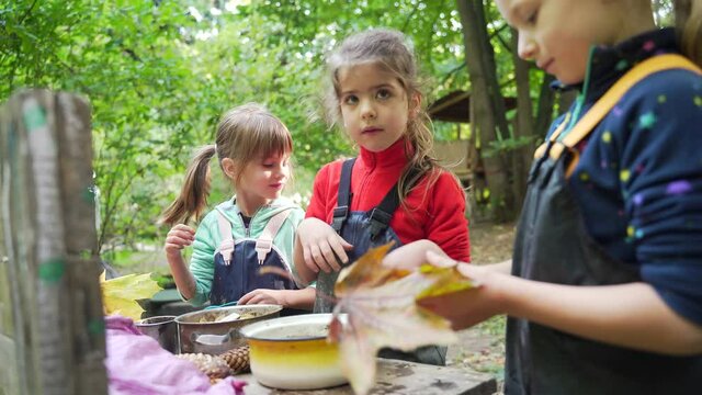 forest kindergarten Happy Preschool or school group children play Cook in swamp improvised kitchen. Outdoors small child have fun playing. Summer Camp, kid leisure educational entertainment in nature