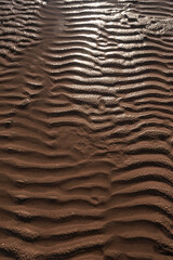 ripples in the sand