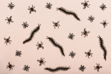 decor for halloween on a light background. scary insects in the form of a pattern to decorate the holiday. simple composition, top view