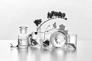 Natural laboratory in black and white. Abstract floral arrangement with exotic monstera leaves in transparent glass vases, jars, vials. Reflections, floral elements distorted in pure clear water.
