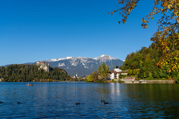 Fototapeta na wymiar view of Lake Bled with the Bled Castle and village in autumn and snow-covered Julian Alps in the background