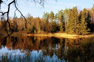 Fototapeta premium reflection in the water
