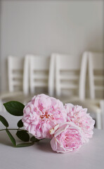 Beautiful cluster of fully bloomed pastel pink Spirit of Freedom rose on a banquet table