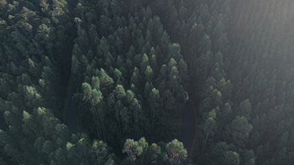 blue sky with clouds