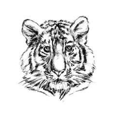 New Year set 2022_symbol_tiger 02_jpg