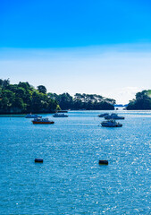 日本三景　松島