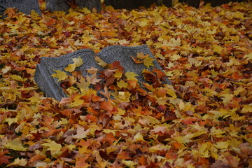 A gravestone in autumn, Québec, Canada