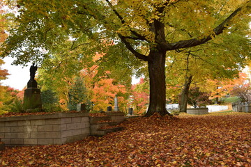 A cemetery in autumn, Saint-Pierre, Québec, Canada