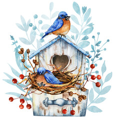 Wooden birdhouse with nest and family blue bird. Flowers for home comfort. Winter Christmas and Easter decor. Hand drawn watercolor illustration isolated on white background close-up